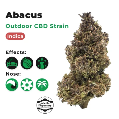 cbd flower abacus main Effects Relaxed, Happy, Euphoric Nose & Taste Gas, Tropical, Citrus