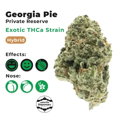 E Georgia Pie THCA Flower Main Effects Giggly, Hungry, Uplifted Nose & Taste Peach, Apricot, Sweet