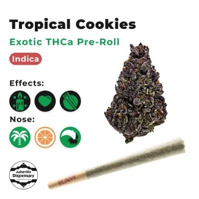 Tropical Cookies THCa Pre Roll